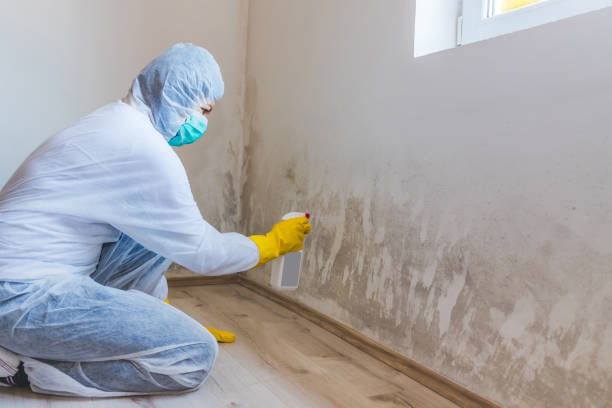 Hvac And Air Duct Mold Remediation inspection of HVAC system in Annapolis